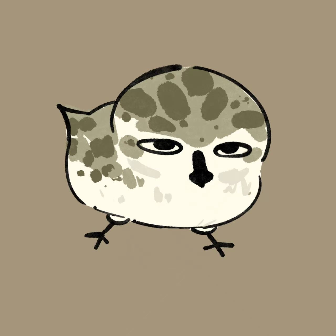 新上传鸟图